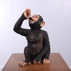 long neck Beer and don't leave your JB or JD sitting unattended. Full or empty your choice! He loves them all (bottles not included) When the bottle is put in the chimpanzee's awaiting hand it appears the chimp is getting boozy with your bottle! The bottle holder Chimpanzee is definitely a conversation piece for any home