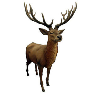 Capture the untamed beauty of the wilderness with this life-size Red Stag Deer Sculpture. Expertly crafted with realistic details