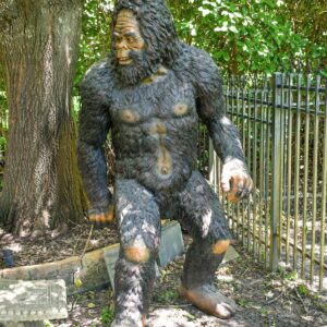 Sasquatch or Yeti  for sure this tall