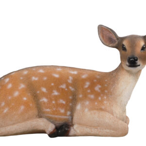depending on the circumstances. This Fallow Deer Fawn Lying Down is sure to help transform your space into something truly magnificent. This Fallow Deer Fawn Lying Down is brand new and makes an excellent gift for any hunting fan or nature lover.