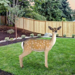Fallow Deer Doe is an investment in quality and hand craftmanship that will be appreciated and spur the imagination of young and old generations to come. Artists handcraft it in all weather fiberglass materials. The finishing is also beautifully executed. Note: Outdoor use may require ongoing maintenance