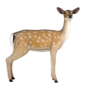 depending on the circumstances. This Fallow Deer Doe is sure to help transform your space into something truly magnificent. This Fallow Deer Doe is brand new and makes an excellent gift for any hunting fan or nature lover.