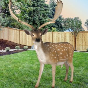 Fallow Deer Buck is an investment in quality and hand craftmanship that will be appreciated and spur the imagination of young and old generations to come. Artists handcraft it in all weather fiberglass materials. The finishing is also beautifully executed. Note: Outdoor use may require ongoing maintenance