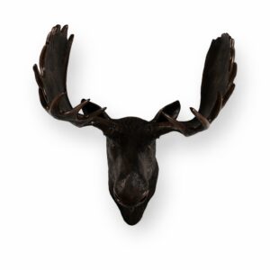 Imperial Moose Head Mount is an investment in quality and hand craftmanship that will be appreciated and spur the imagination of young and old generations to come. Artists handcraft it in all weather fiberglass materials. The finishing is also beautifully executed. Note: Outdoor use may require ongoing maintenance