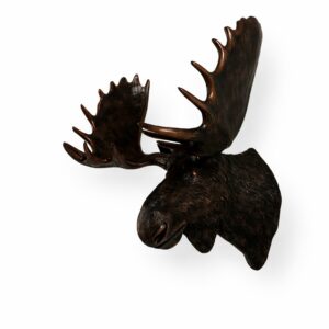 depending on the circumstances. This moose bust wall hanging is sure to help transform your home into something truly magnificent. This moose head is brand new and makes an excellent gift for any hunting fan or nature lover.