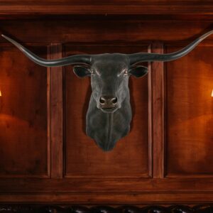 Imperial Texas Long Horn Head Mount is an investment in quality and hand craftmanship that will be appreciated and spur the imagination of young and old generations to come. Artists handcraft it in all weather fiberglass materials. The finishing is also beautifully executed. Note: Outdoor use may require ongoing maintenance