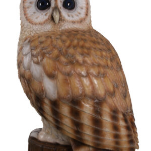 Tawny Owl 5ft on a Stump is an investment in quality and hand craftmanship that will be appreciated and spur the imagination of young and old generations to come. Artists handcraft it in all weather fiberglass materials. The finishing is also beautifully executed. Note: Outdoor use may require ongoing maintenance