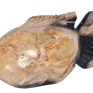 A Rare Authentic Find! From the Mountain Studio Design Collection comes this Petrified Wood Fish 21 Inch Authentic Specimen