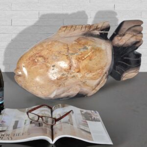 Fossil