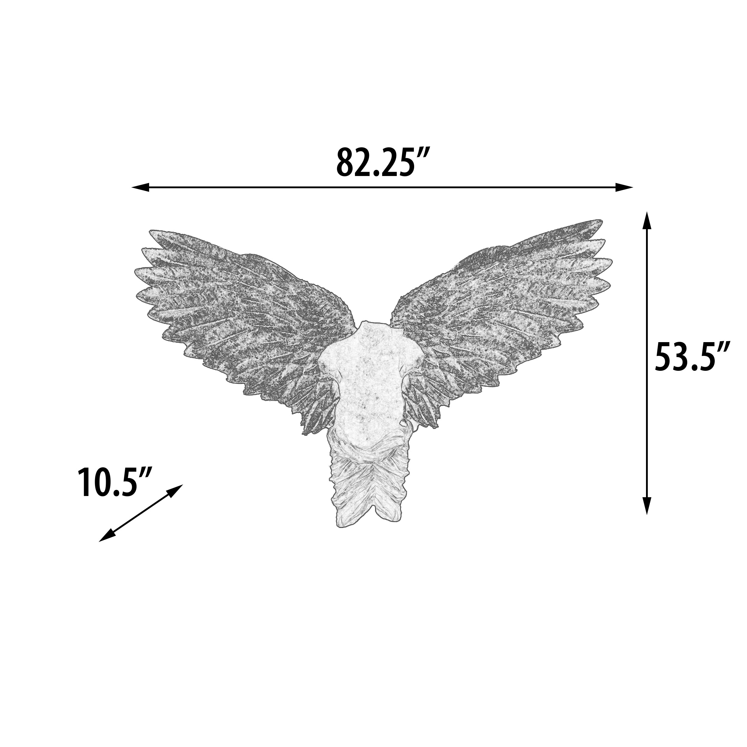 12021672D