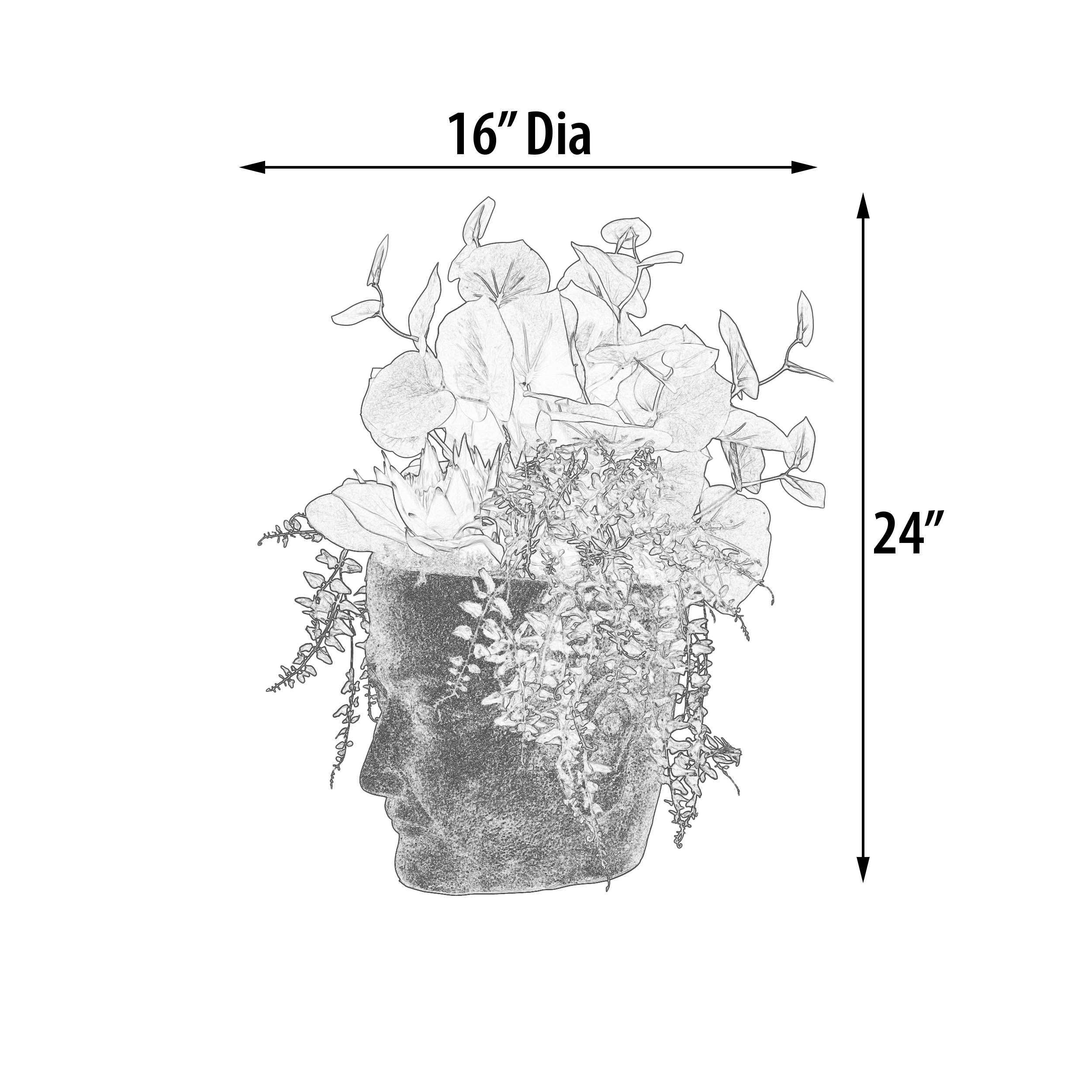 12023809D